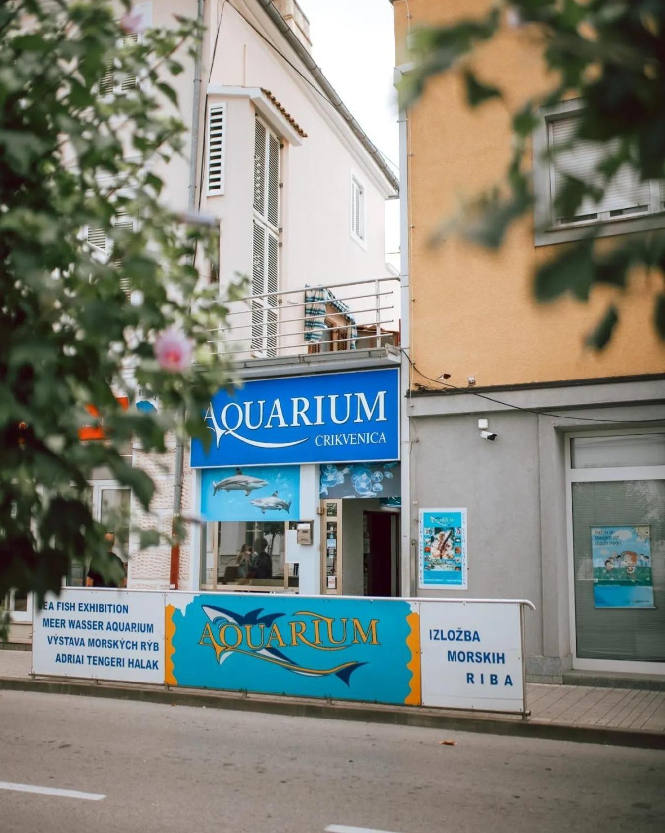 Apartment Schwarz Crikvenica Zewnętrze zdjęcie